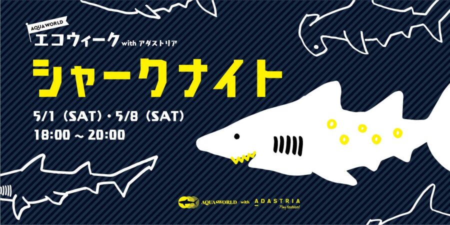 シャークナイト