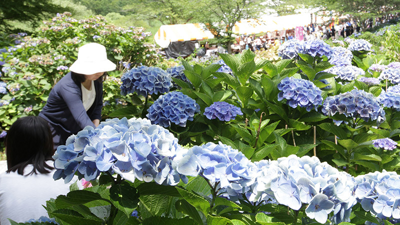 涸沼自然公園