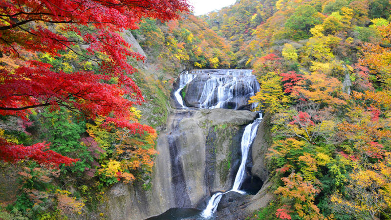 袋田の滝 紅葉