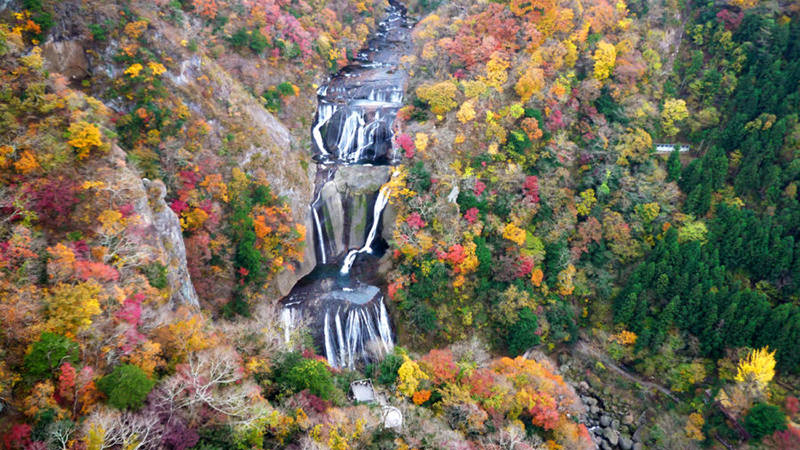 袋田の滝 紅葉