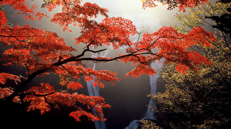 袋田の滝 紅葉