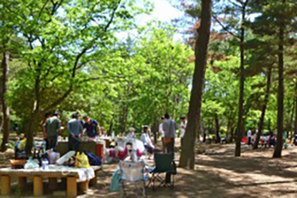 国営ひたち海浜公園